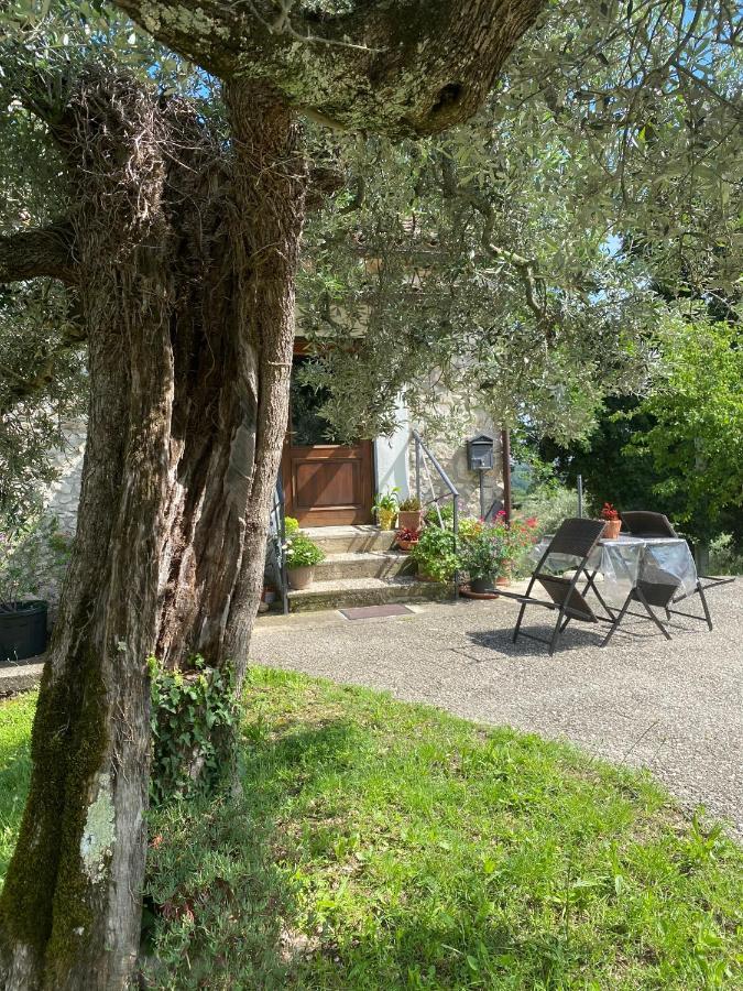 La Casetta Di Vacone Bagian luar foto